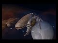 starwars empire at war final space fight rebellion ending starwars empire at war final space fight rebellion ending