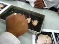 Science Engagement NROB60