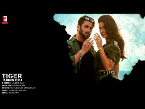 Swag sa karain ga sab ka swagat || Full Lyrical Song || Tiger Zinda Hai