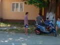 Susca Susca