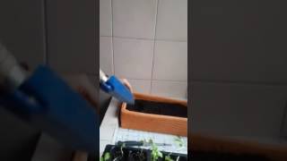Así va nuestra huerta