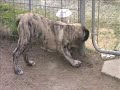 Cliquez pour voir la vid�o