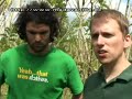 Vanille aus Madagaskar - Teil 1