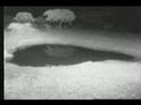 5.8.07 2.59am Activiry at the waterhole continues