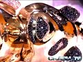 Ben Baller: King Of Bling (Ep.1)