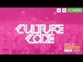 Dubstep Mix 2013