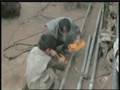 Hydraulic Ram Pump