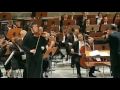 Beethoven - Violin Concerto - Vadim Repin - Valery Gergiev (Mov.1Part.1)