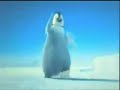 k�rt penguenler