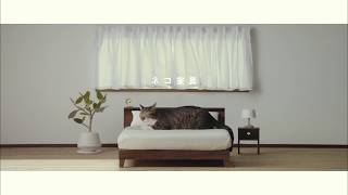 【ネコ家具できました】篇　　