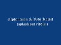 elephantman and vybz kartel splash out riddim