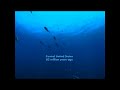 Sea Monsters 3D: A Prehistoric Adventure
