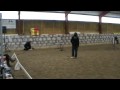 Fixa, agilityklass 2 2009-10-24 Gotland