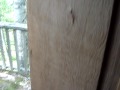 videos de TLC - Fort Jupiter pt 5