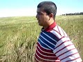 Vir�e dans la TOSCANE KABYLE