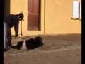 Mes loulous et les ordres marrants (05.01.08)