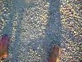 walking on spunk - shine?!!