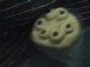 the meaningless extra terrestrial