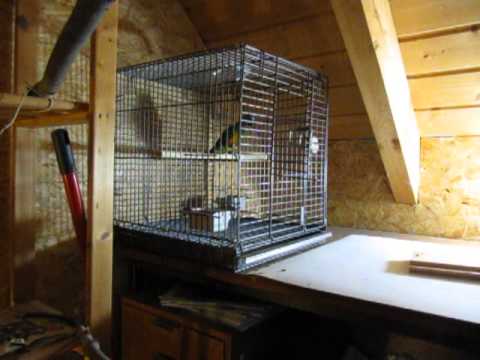 Transportkäfig Training erfolgreich