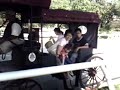 Birthday treat - Horse carriage riding Birthday treat - Horse carriage riding