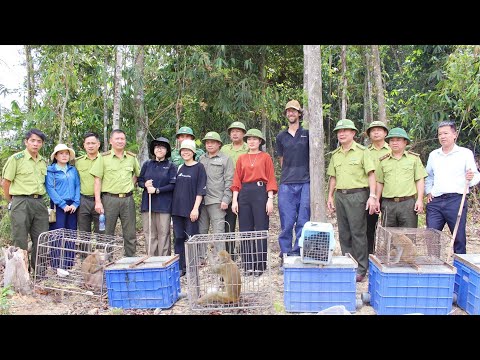 Vườn Quốc gia Vũ Quang thả 53 động vật hoang dã về môi trường tự nhiên