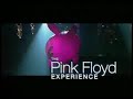 The Pink Floyd Experience