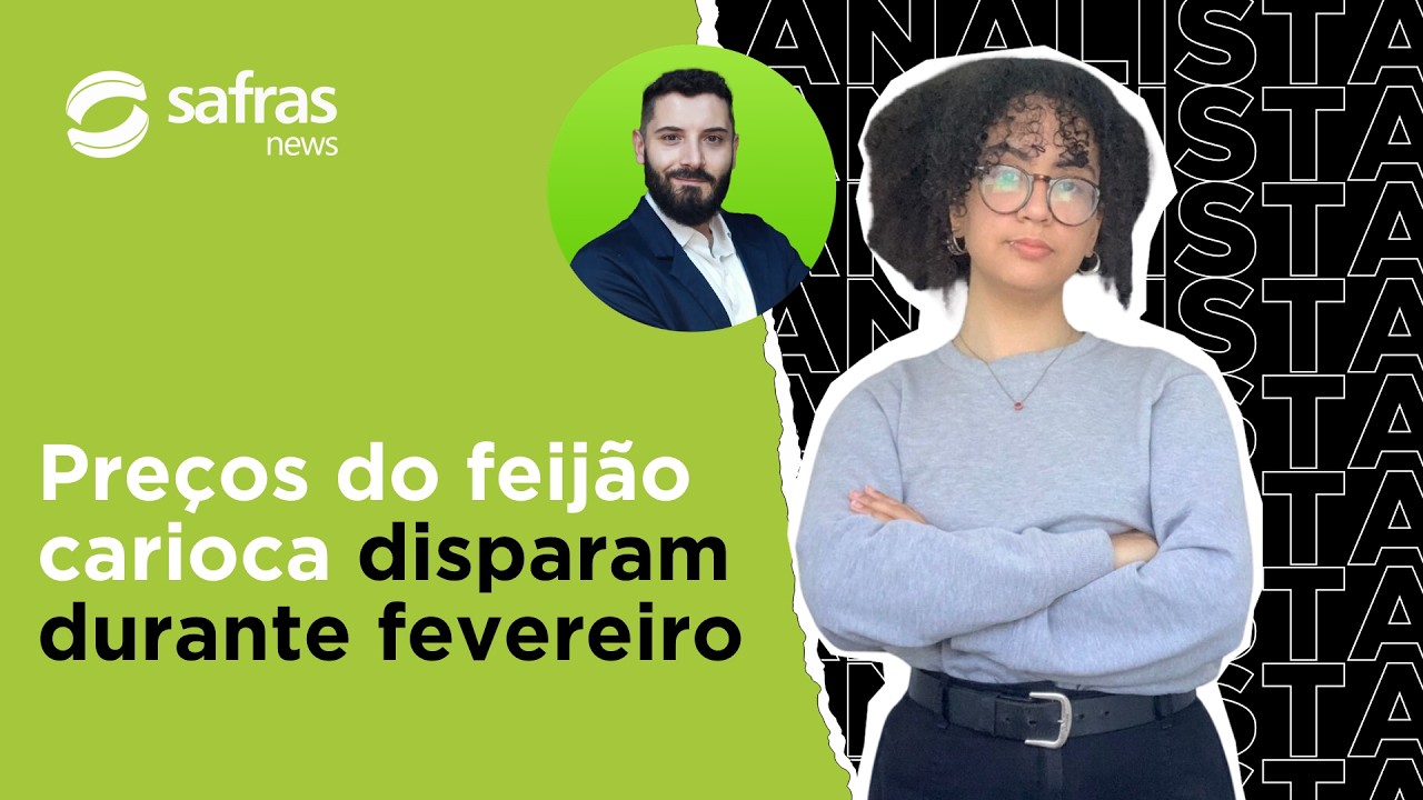 Preços do feijão disparam e área da 2ª safra encolhe: o que está acontecendo no mercado?