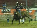 JARIPEO RANCHERO DF