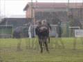 videos de cd - cd84.wmv