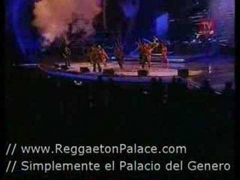 Video de Conteo (Live) de Don Omar