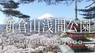 絶景 空撮 新倉山浅間公園 忠霊塔の桜と富士山 -  Cherry blossoms and Mt.Fuji at Chureito Pagoda taken with a drone