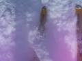 videos de 100 1354