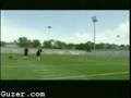 reggie bush vs. david beckam
