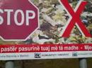 Albania-In-Your-Pock