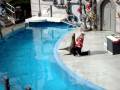 videos de Sea World 1 of 6.MPG