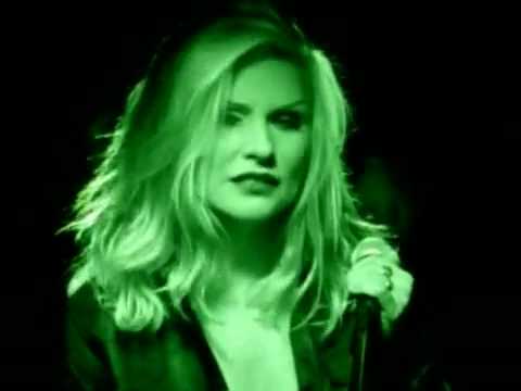 how to care for a t blondi