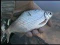 Fishing Blog 24/04/08 - Dane River - Klaipeda (Lithuania)