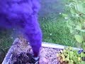 SMOKE GSY - special smoke test