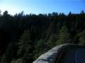 On the way to Sequoia Nataional Park, mountains and cloud-fog 2