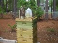 I uploaded a YouTube video -- 1wk Inspection After Adding Honey Supers http://youtu.be/zJ487apoHxU?a