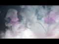Lowb Inward Outburst Official Music Video and Lyrics