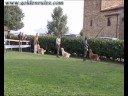 Raduno Civitella Paganico RCAC