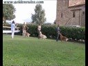 Raduno Civitella Paganico RCAC