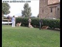 Raduno Civitella Paganico RCAC
