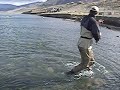 my-first-lahontan-cutt.html