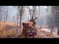 Far Cry Primal Walkthrough Part 8 - Sabertooth Tiger (Let's Play Commentary) TIGER