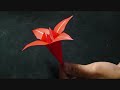Origami Iris Flower Instructions