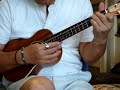 BLUES ON A UKULELE