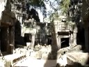 Ta Prohm temple, Angkor Wat historical park