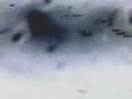 a video i made recently using only a mobile phone to film with